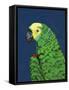 Parrot Head Navy-Pamela Munger-Framed Stretched Canvas