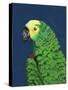 Parrot Head Navy-Pamela Munger-Stretched Canvas