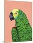 Parrot Head-Pamela Munger-Mounted Art Print