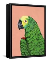 Parrot Head-Pamela Munger-Framed Stretched Canvas