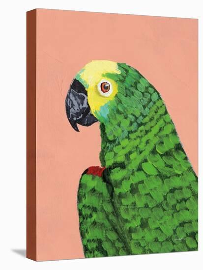 Parrot Head-Pamela Munger-Stretched Canvas