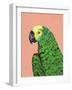 Parrot Head-Pamela Munger-Framed Art Print