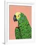 Parrot Head-Pamela Munger-Framed Art Print