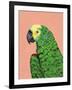 Parrot Head-Pamela Munger-Framed Art Print