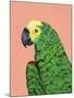 Parrot Head-Pamela Munger-Mounted Art Print