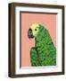 Parrot Head-Pamela Munger-Framed Art Print