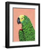 Parrot Head-Pamela Munger-Framed Art Print