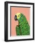 Parrot Head-Pamela Munger-Framed Art Print