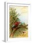 Parrot in a Tree Above Hummingbrds-A. Hochstein-Framed Art Print