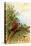 Parrot in a Tree Above Hummingbrds-A. Hochstein-Stretched Canvas