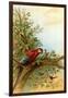 Parrot in a Tree Above Hummingbrds-A. Hochstein-Framed Art Print