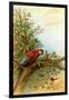 Parrot in a Tree Above Hummingbrds-A. Hochstein-Framed Art Print