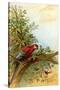 Parrot in a Tree Above Hummingbrds-A. Hochstein-Stretched Canvas