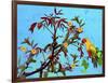Parrot in Garden 2-Ata Alishahi-Framed Giclee Print