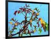 Parrot in Garden 2-Ata Alishahi-Framed Giclee Print