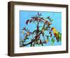 Parrot in Garden 2-Ata Alishahi-Framed Giclee Print