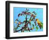 Parrot in Garden 2-Ata Alishahi-Framed Giclee Print