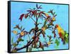 Parrot in Garden 2-Ata Alishahi-Framed Stretched Canvas