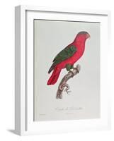 Parrot: Lory or Collared-Jacques Barraband-Framed Giclee Print