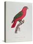 Parrot: Lory or Collared-Jacques Barraband-Stretched Canvas