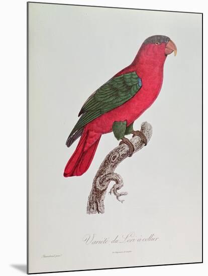 Parrot: Lory or Collared-Jacques Barraband-Mounted Giclee Print