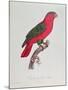 Parrot: Lory or Collared-Jacques Barraband-Mounted Giclee Print