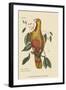 Parrot of Paradise of Cuba-Mark Catesby-Framed Art Print