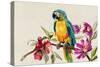 Parrot on Branch-Jacob Q Pearce-Stretched Canvas