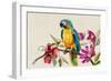 Parrot on Branch-Jacob Q Pearce-Framed Art Print