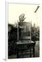 Parrot on Chair Back-null-Framed Art Print