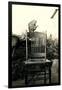 Parrot on Chair Back-null-Framed Art Print