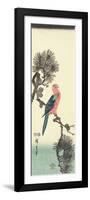 Parrot on Pine Tree, 1847-1852-Utagawa Hiroshige-Framed Giclee Print