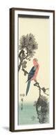 Parrot on Pine Tree, 1847-1852-Utagawa Hiroshige-Framed Premium Giclee Print