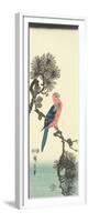 Parrot on Pine Tree, 1847-1852-Utagawa Hiroshige-Framed Premium Giclee Print