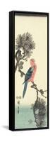 Parrot on Pine Tree, 1847-1852-Utagawa Hiroshige-Framed Stretched Canvas