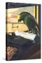 Parrot on Typewriter-null-Stretched Canvas