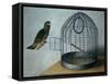 Parrot Outside His Cage-Cornelis Biltius-Framed Stretched Canvas