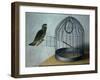 Parrot Outside His Cage-Cornelis Biltius-Framed Giclee Print