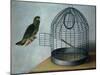 Parrot Outside His Cage-Cornelis Biltius-Mounted Giclee Print