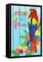 Parrot Party II-Andi Metz-Framed Stretched Canvas