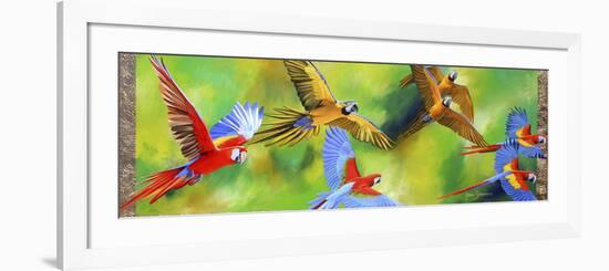 Parrot Party-Graeme Stevenson-Framed Giclee Print