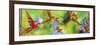 Parrot Party-Graeme Stevenson-Framed Giclee Print