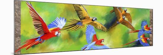 Parrot Party-Graeme Stevenson-Mounted Giclee Print