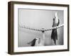 Parrot Perched on Rope, Cat Below-null-Framed Premium Photographic Print