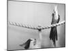 Parrot Perched on Rope, Cat Below-null-Mounted Premium Photographic Print