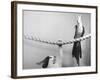 Parrot Perched on Rope, Cat Below-null-Framed Photographic Print