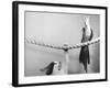 Parrot Perched on Rope, Cat Below-null-Framed Photographic Print