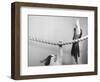 Parrot Perched on Rope, Cat Below-null-Framed Photographic Print