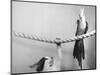 Parrot Perched on Rope, Cat Below-null-Mounted Photographic Print