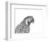 Parrot Portrait-Lucy Francis-Framed Art Print